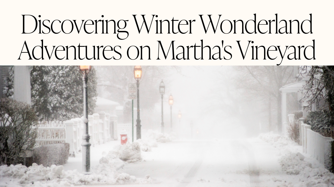 Discovering Winter Wonderland Adventures on Marthas Vineyard