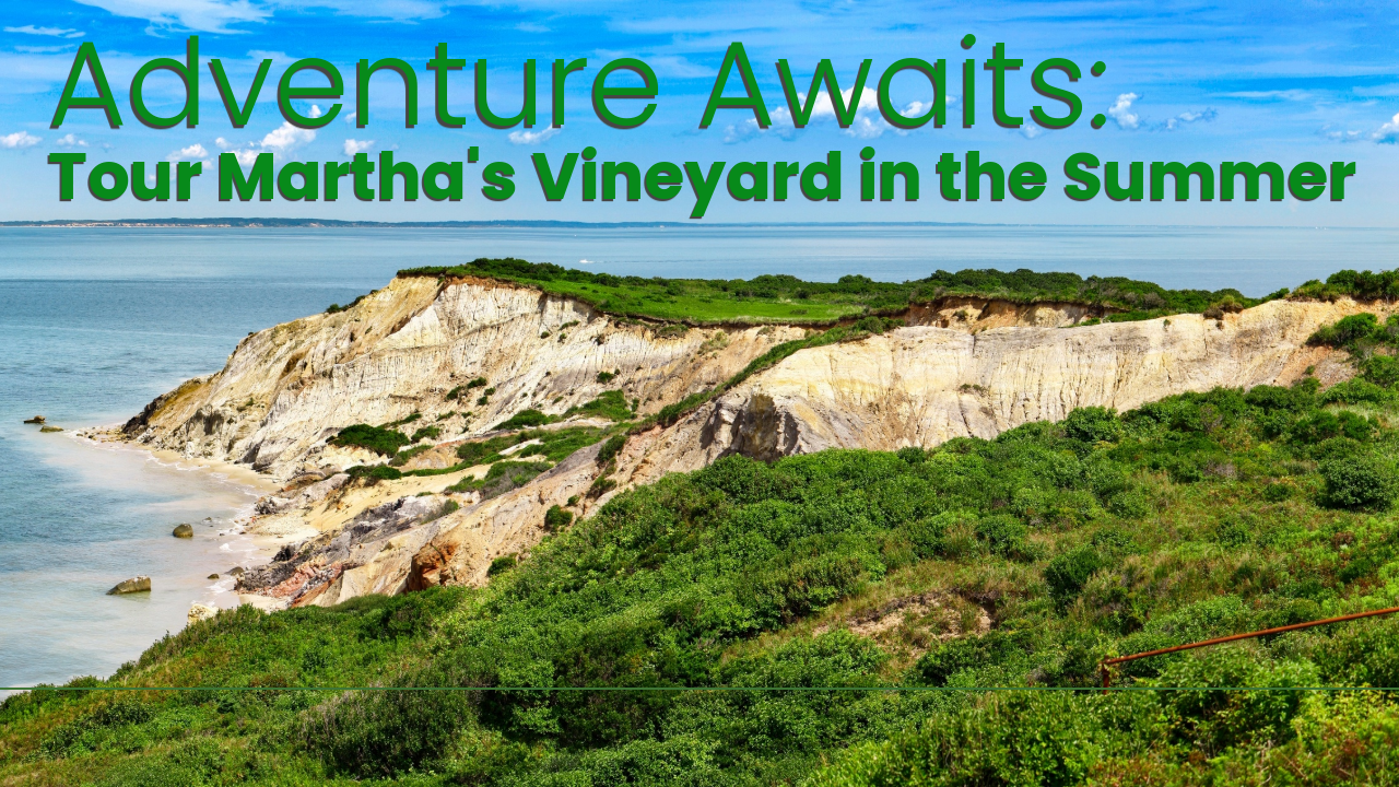 Tour Martha's Vineyard in the Summer