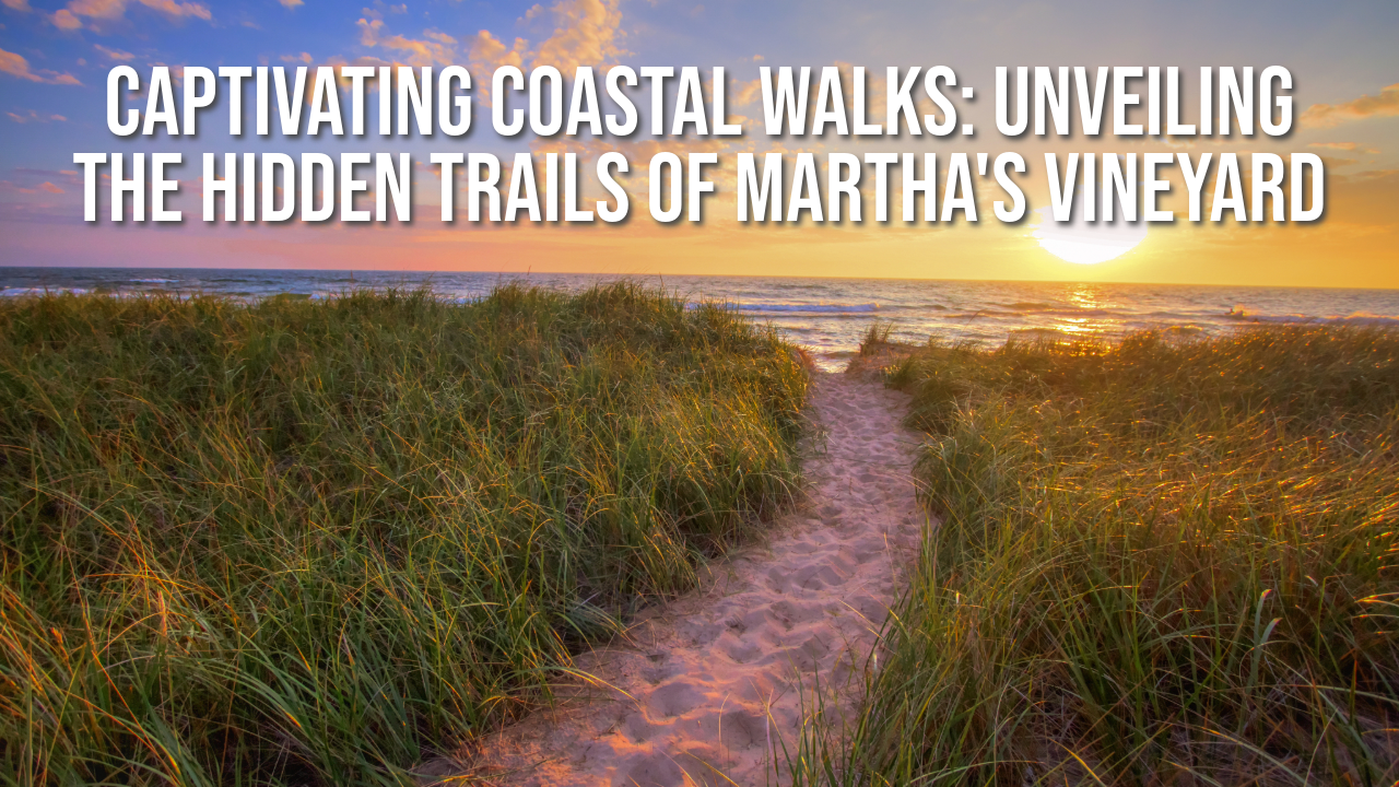 Captivating Coastal Walks: Unveiling the Hidden Trails of Martha's Vineyard